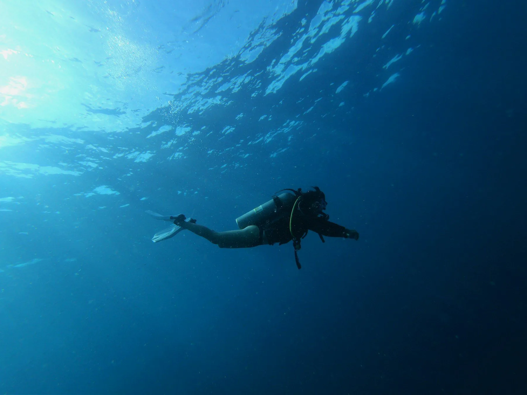 Tüplü Dalış (Scuba Diving & Sualtı Keşfi)