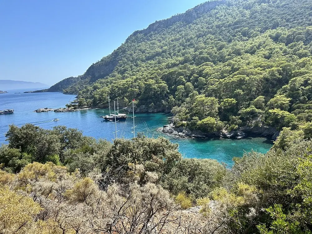 Darboğaz Koyu - 3