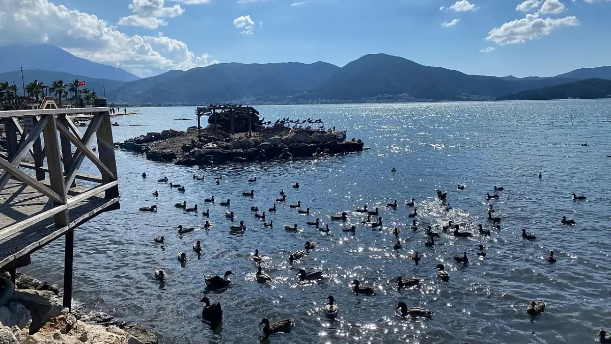 Ördek Adası - 4